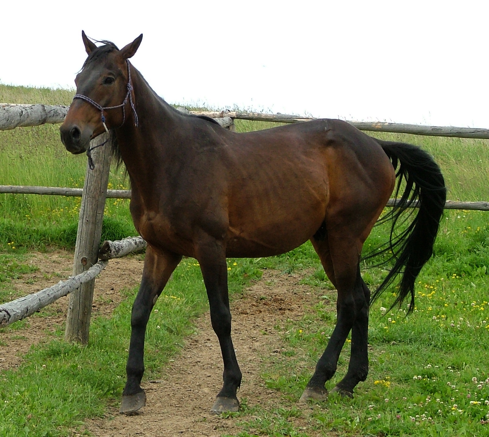 DSCF0940.jpg