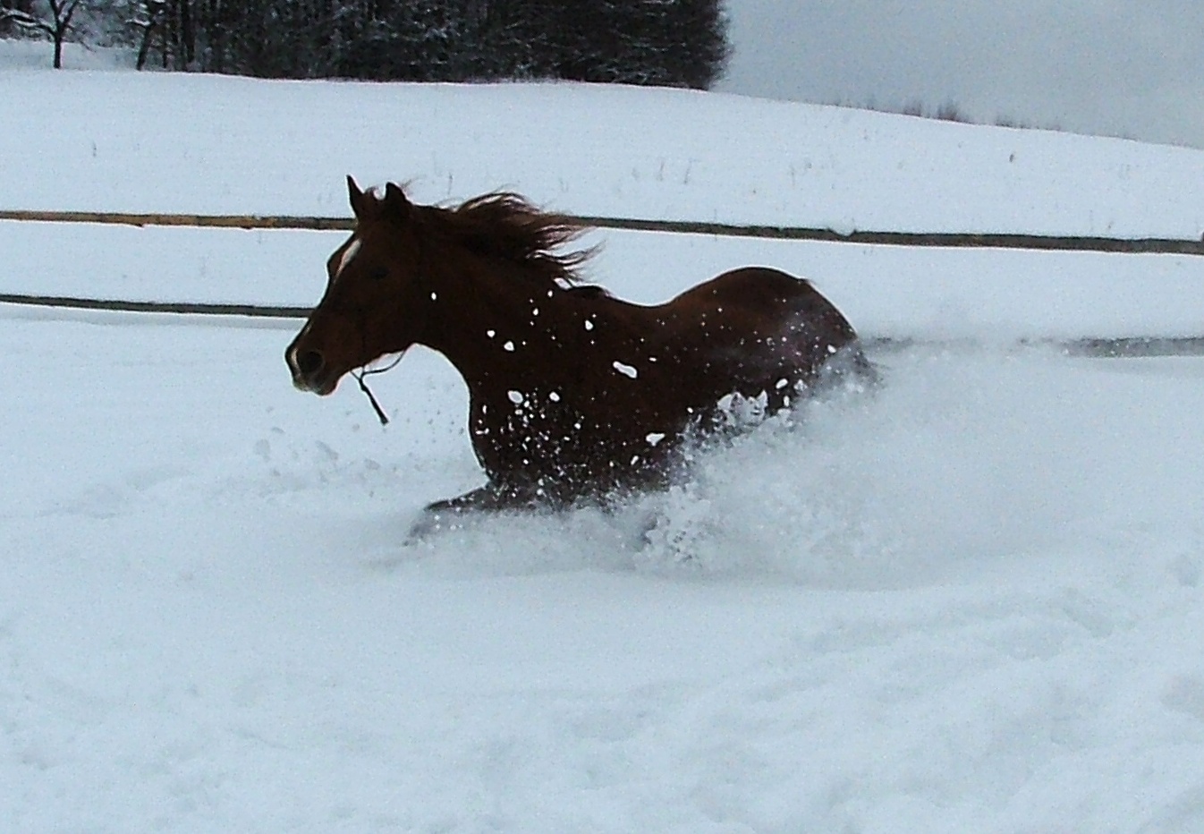 DSCF1860.jpg