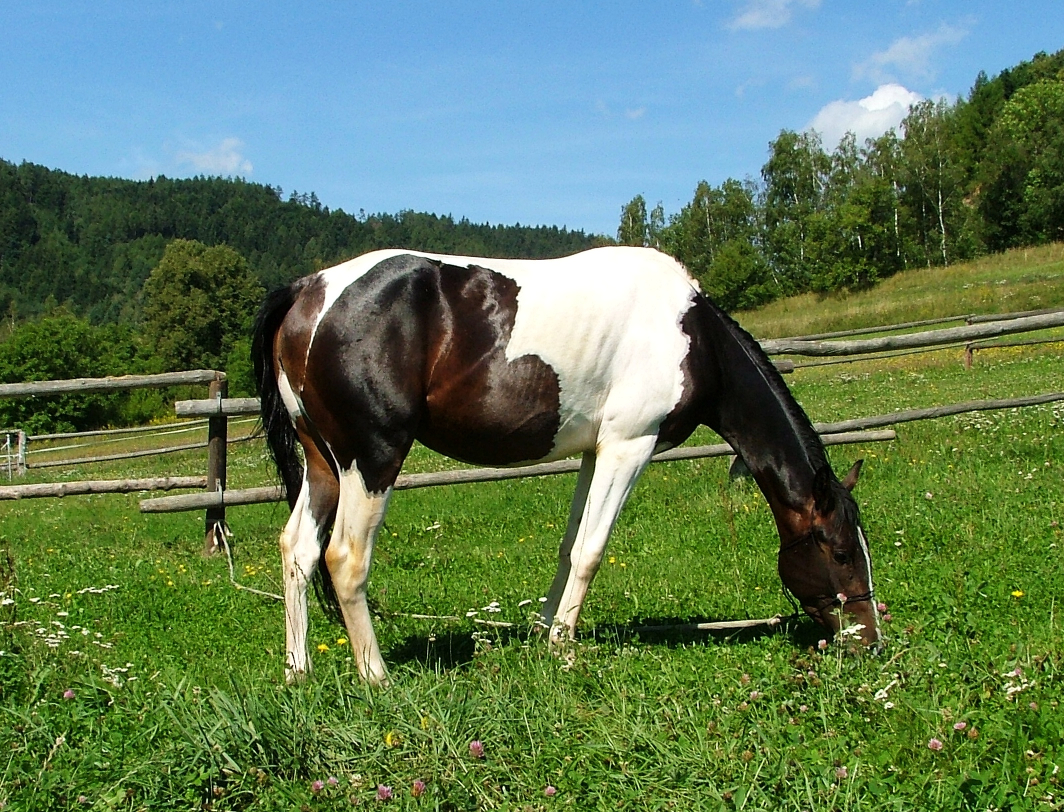DSCF1297.jpg