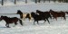 DSCF0675.jpg