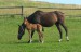 DSCF0963.jpg
