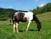 DSCF1297.jpg