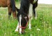 DSCF2203.jpg